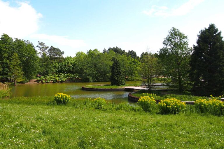Park